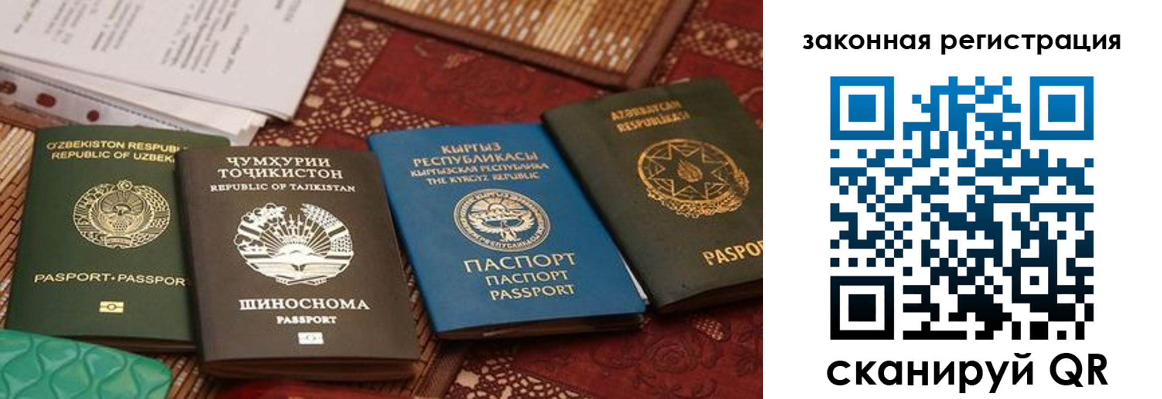 пропишу в квартире в Шлиссельбурге